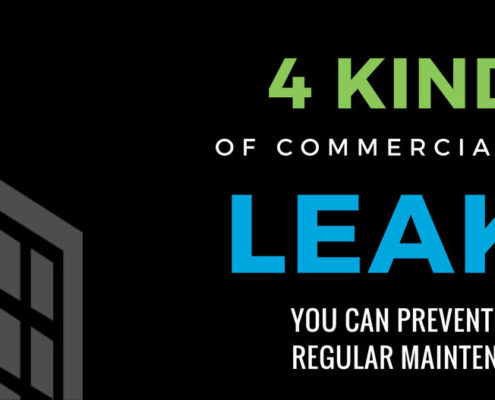 infographic 4 kinds of roof leaks