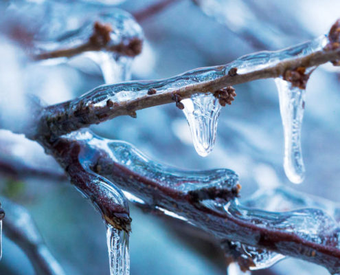 roofing adhesive in winter